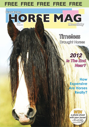 cover4